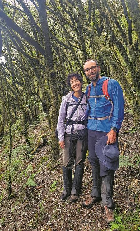 Letícia Alves e Dennis Hyde visitam floresta nebular durante a trilha da Pedra Furada, no Parque Nacional de São Joaquim, em Santa Catarina. Foto: Acervo pessoal