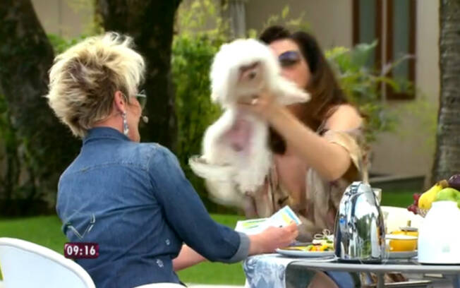 'Ele está de caso com você. Vem cá, Sushi, deixa a Ana Maria trabalhar', disse Claudia. Foto: Reprodução