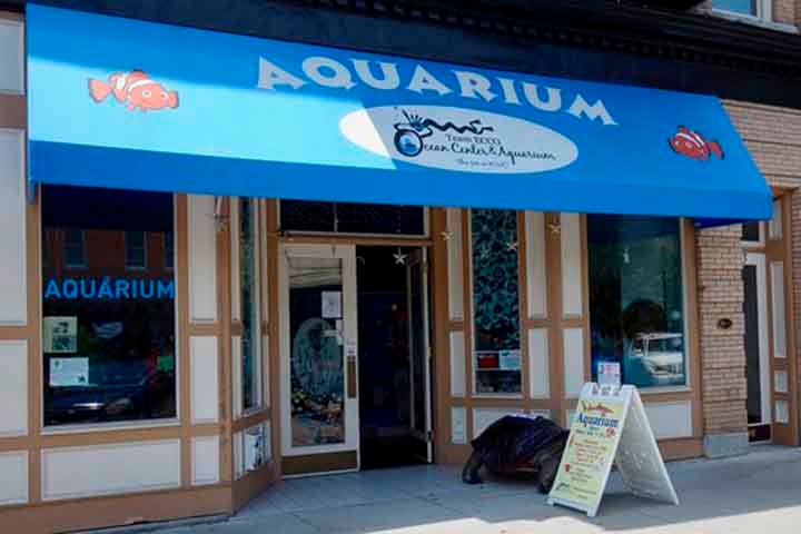 O caso aconteceu no Aquarium and Shark Lab, em Hendersonville, no estado da Carolina da Norte. 
 Reprodução: Flipar