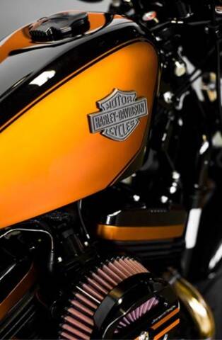Harley-Davidson. Foto: Divulgação