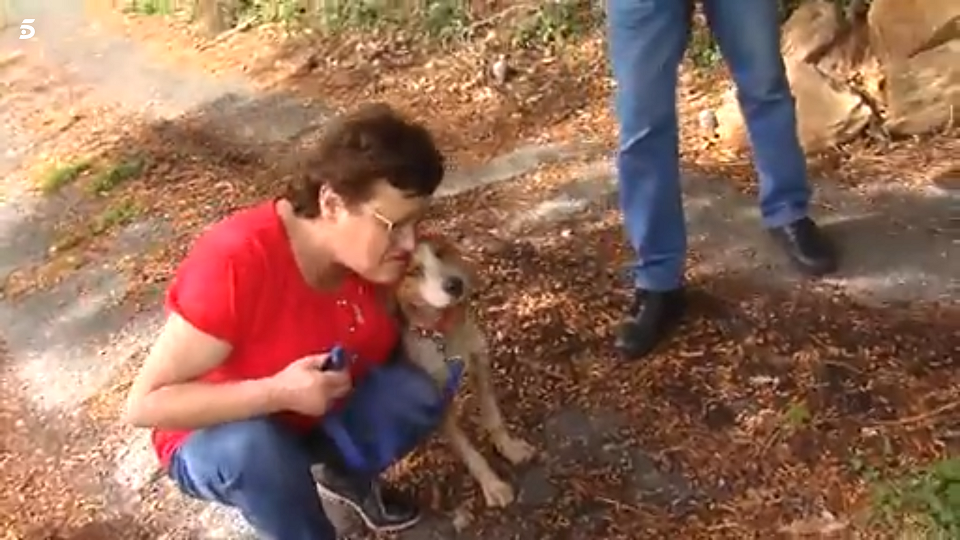 Os tutores de Toby ficaram muito felizes ao recuperar o amado animal de estimação. Foto: Reprodução/Telecinco