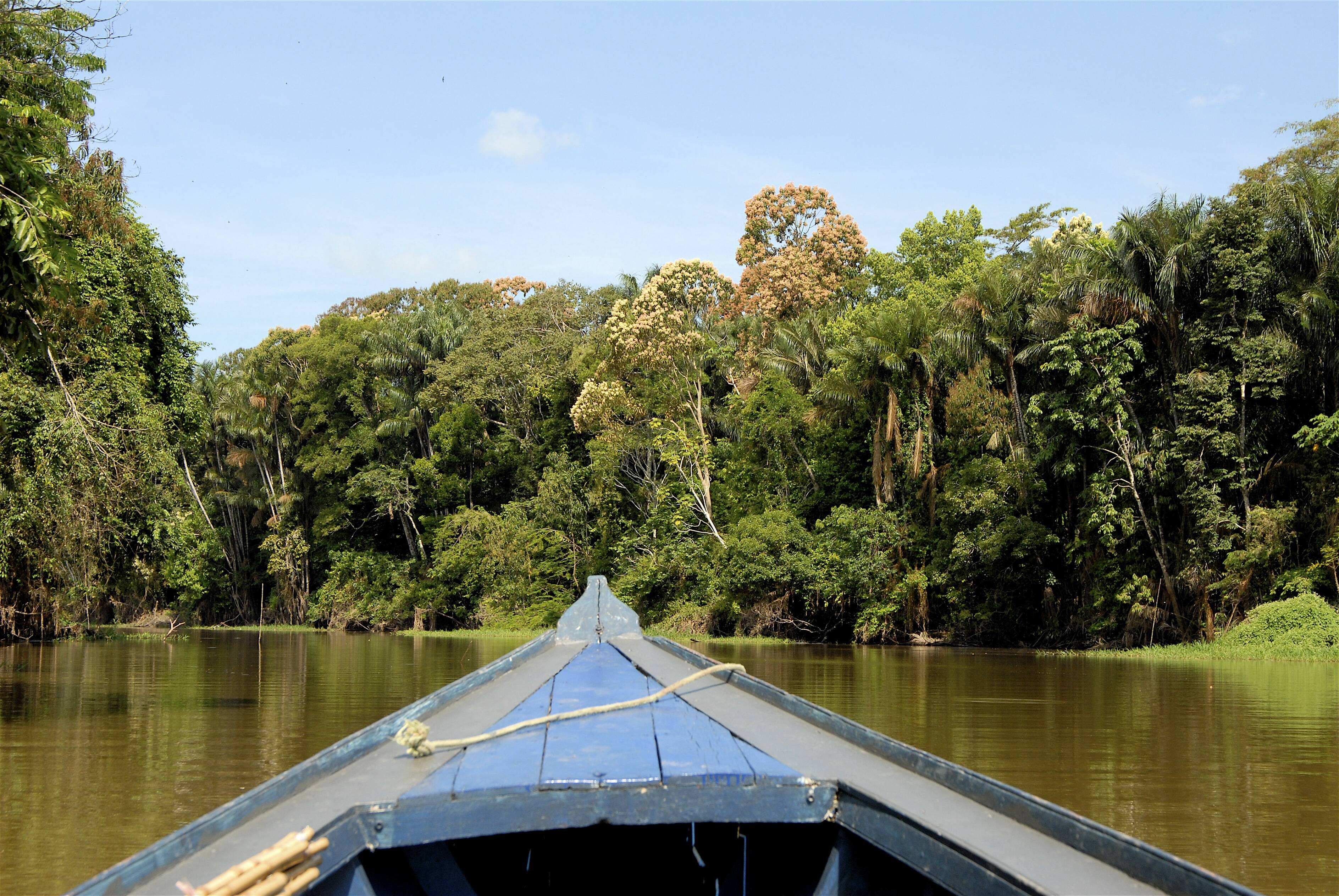 Em canoas, os turistas realizam passeios pelos igarapés e pesca de piranhas Getty Images