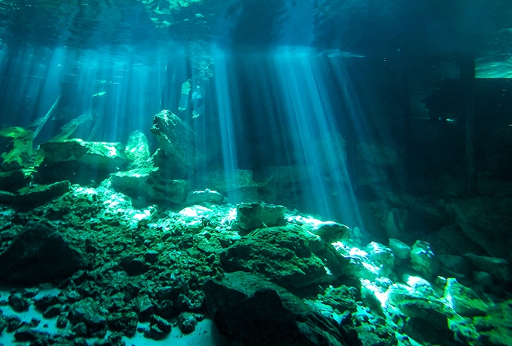 Falando em água, acredita-se que a maior caverna subaquática do mundo é a Sistema dos Ojos. É um grupo de cavernas, uma colada na outra. Juntas, têm uma extensão de cerca de 319 km, na Península de Yucatán. Esta, por sua vez, se divide entre México, Belizes e Guatemala. 
