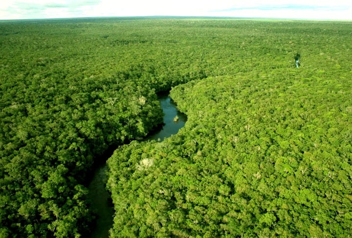 De acordo com o estudo, as microexplosões atmosféricas estão se tornando mais frequentes na Amazônia nos últimos anos. Reprodução: Flipar