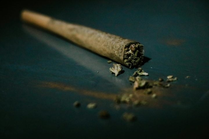 A nova lei permite que as pessoas tenham até sete gramas de cannabis e cultivem até quatro plantas. No entanto, fumar em público ou na presença de menores ainda é proibido. Reprodução: Flipar