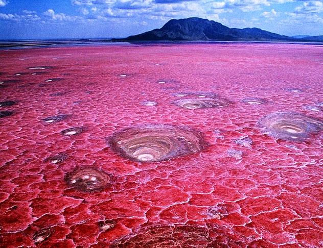 Lago Natron (Tanzânia) - Lago salgado que coloração rosa por causa do grande volume de natrão, um mineral formado por carbono de sódio. O lugar é tóxico para a maioria dos animais e os seres humanos. Mas é um habitat de flamingos. 