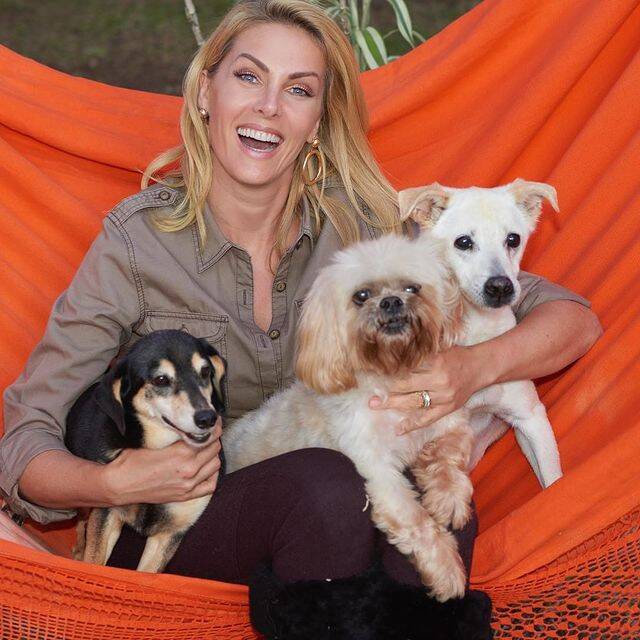 Lulu, Johnny e Dólar cães resgatados por Ana Hickmann. Foto: Reprodução/Instagram