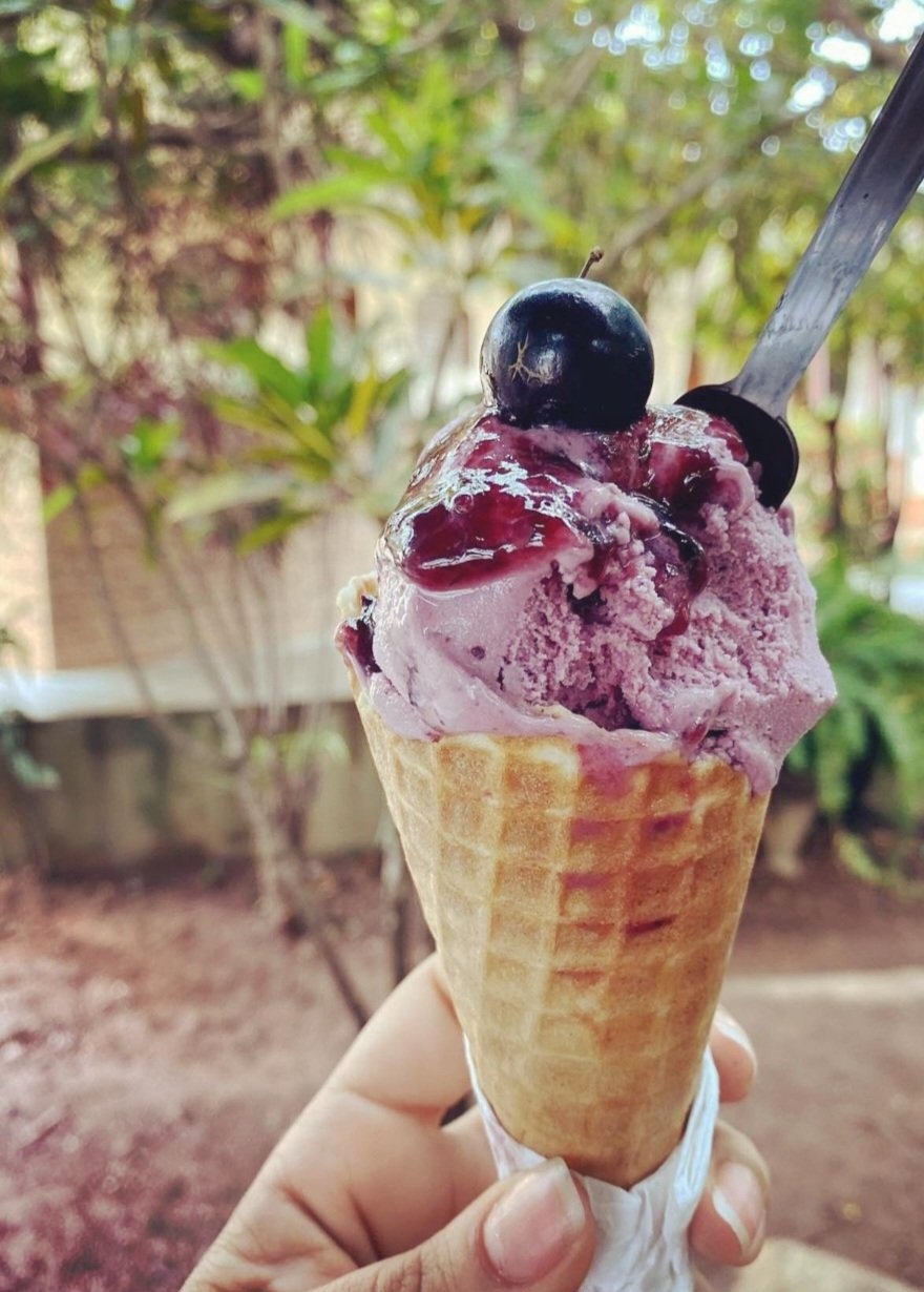 Ao visitar a Fazenda Jabuticabal, além da fruta propriamente dita, tirada diretamente do pé, é possível experimentar uma porção de derivados dela. Caipirinha, sorvete, doce, geléia, capuccino, cachaça e até pasta para churrasco. Reprodução: Flipar