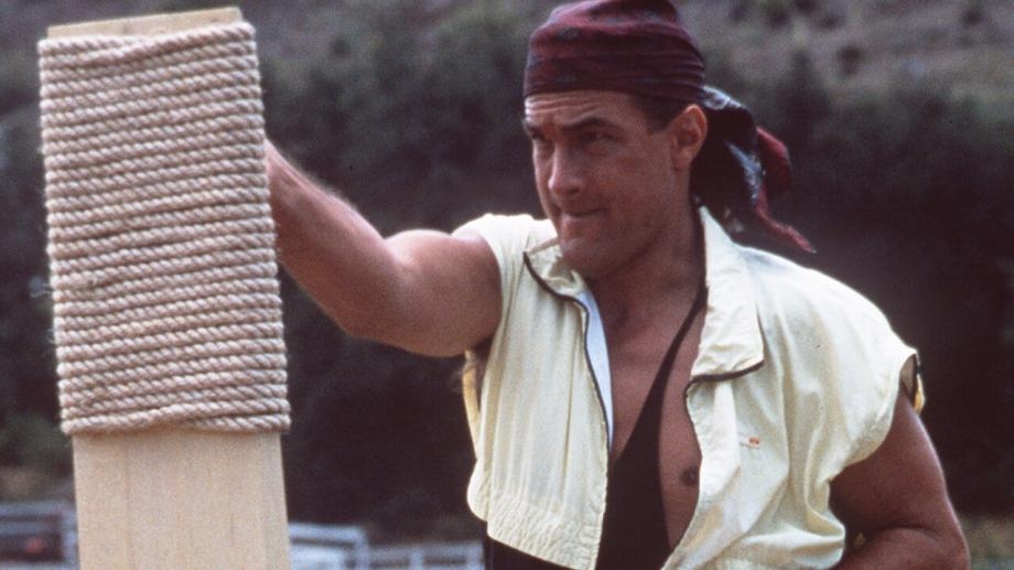 A dedicação de Steven às artes marciais nunca mudou. Tanto que, mesmo tendo sucesso no cinema, ele manteve a atividade de instrutor. 