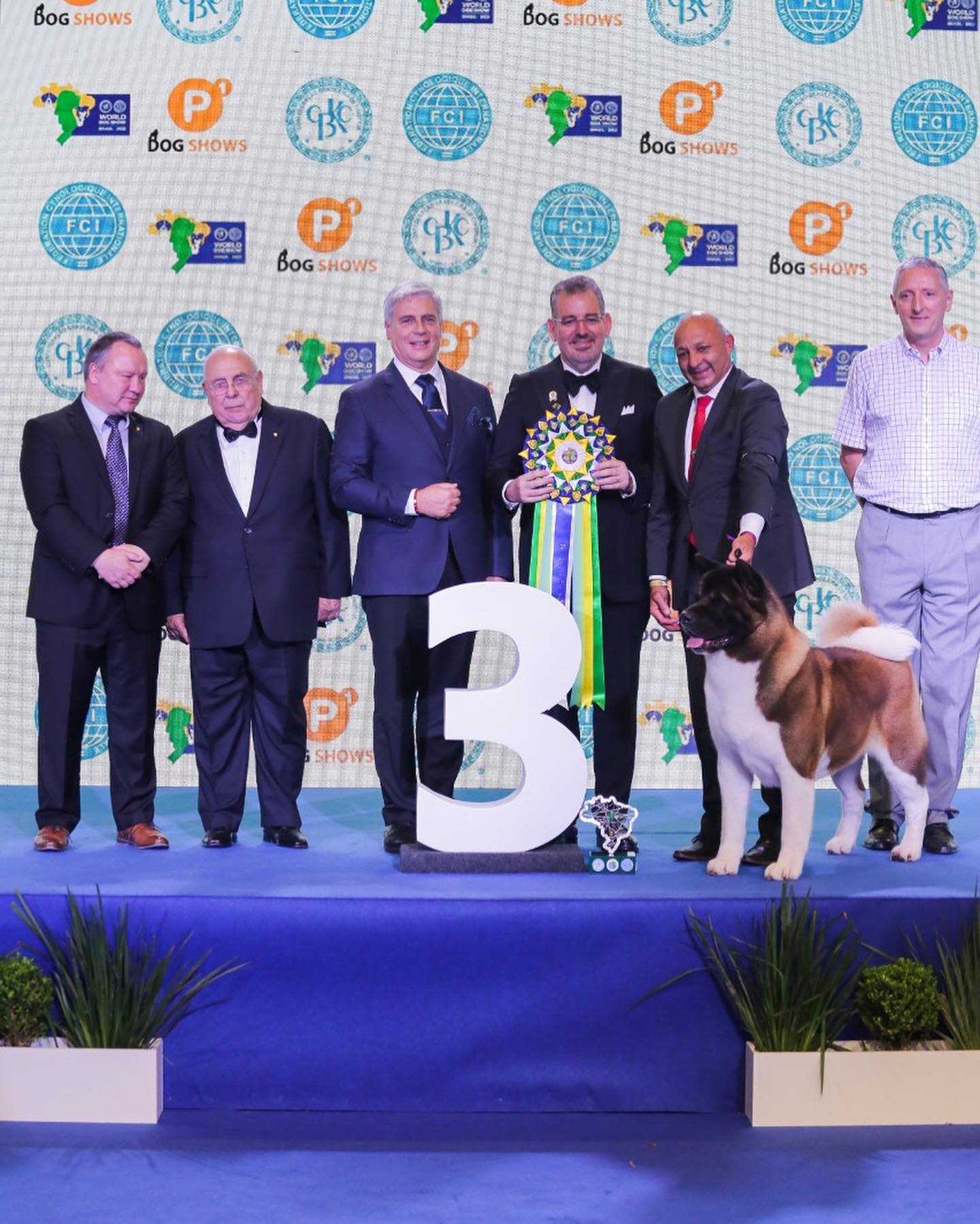 Shih-tzu brasileira é a grande vencedora da premiação 'Melhor Cão