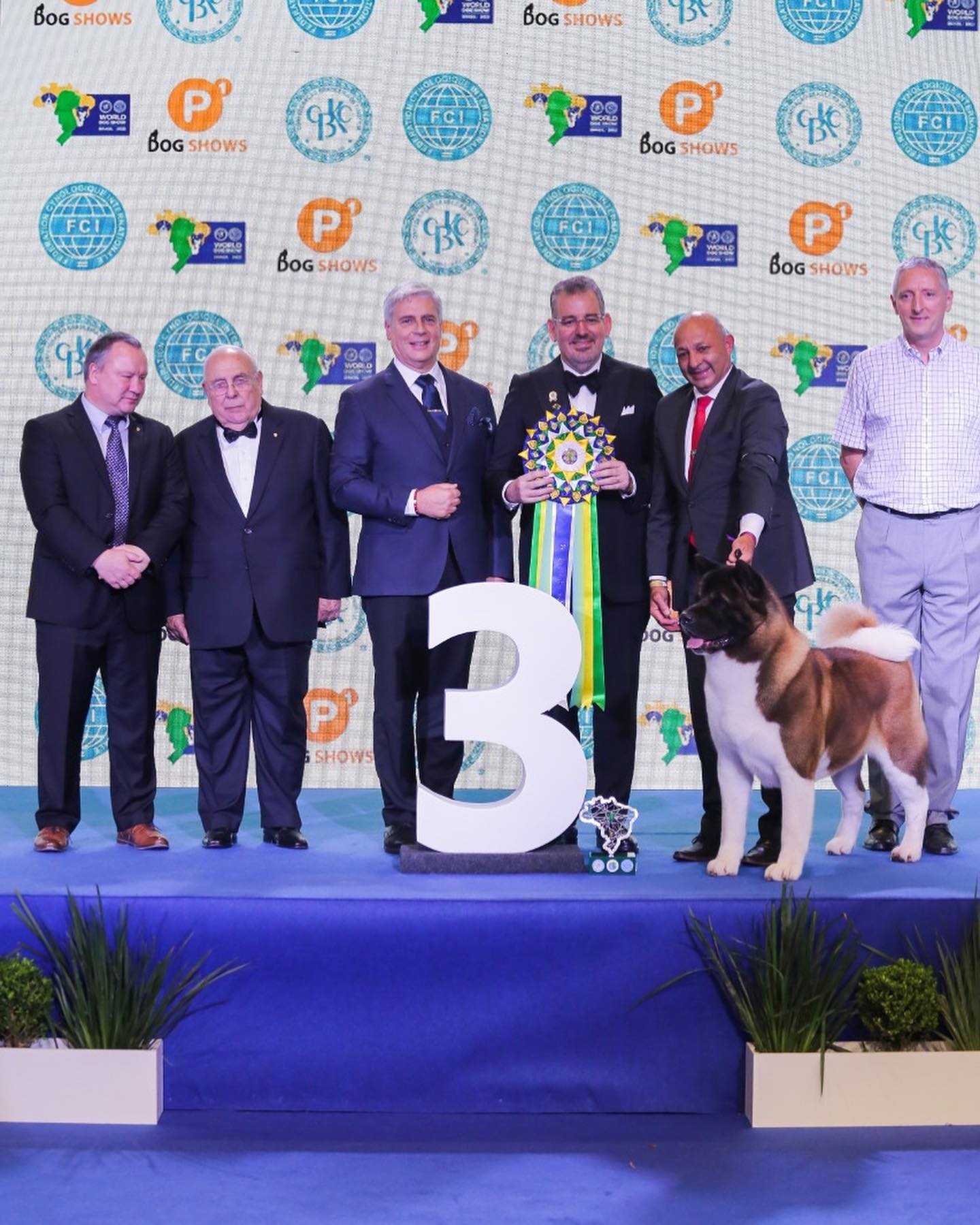 Terceiro lugar do World Dog Show 2022. Foto: Reprodução/Instagram (@wds2022) - 20.12.2022