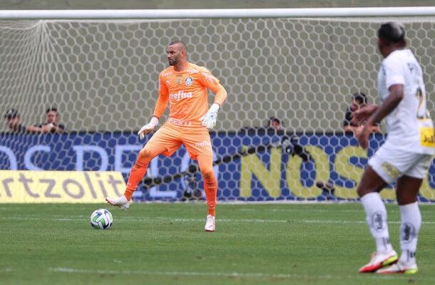 Com 44 pontos, o Palmeiras é o quarto colocado no Campeonato Brasileiro. É a única competição que ainda disputa. - Foto: Cesar Greco/Palmeiras/by Canon