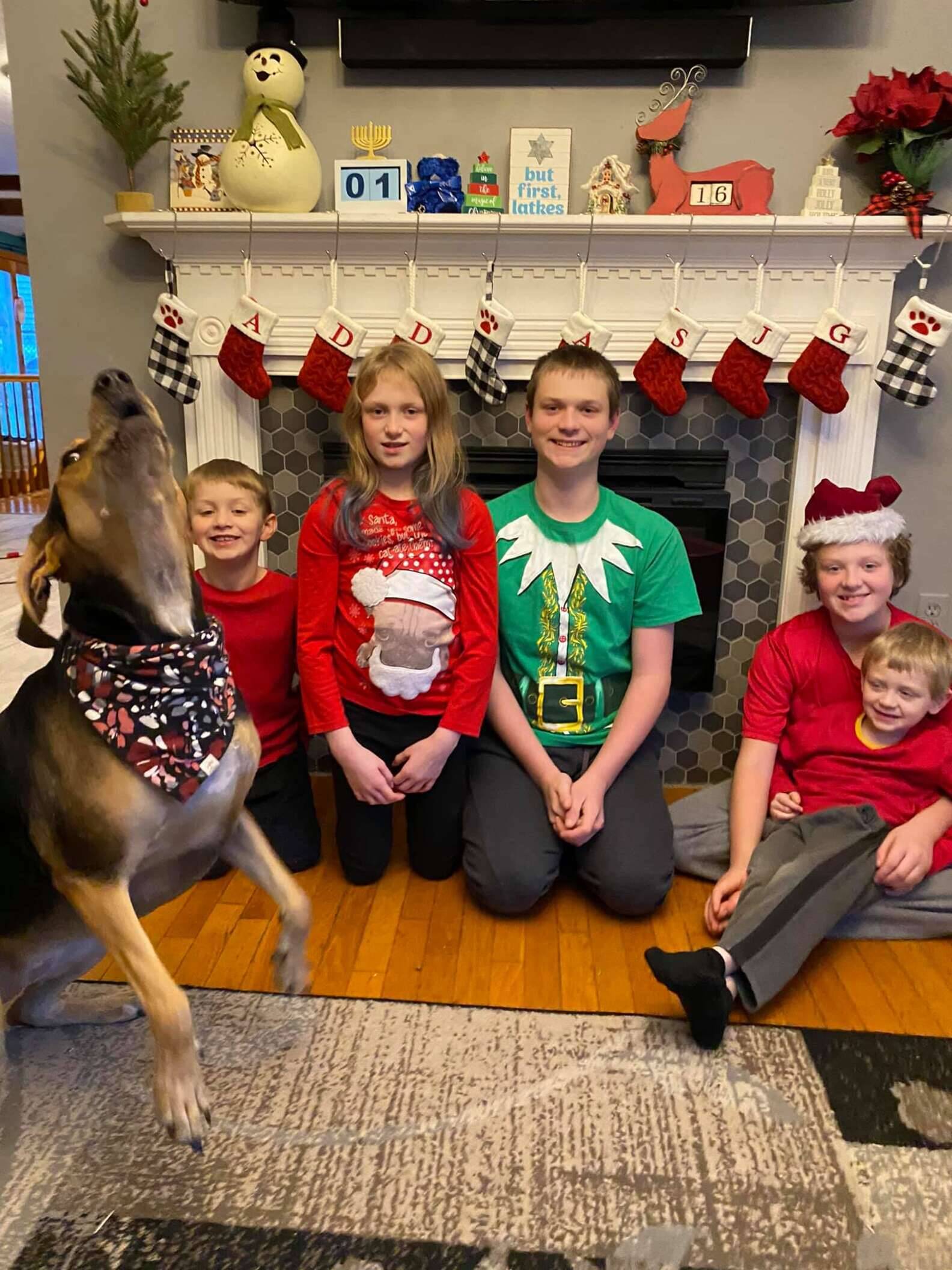 Cachorro rouba a cena em sessão de fotos para cartão de Natal da família |  Cachorros | iG