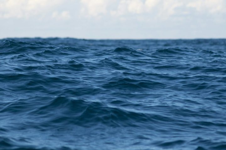 No entanto, o novo estudo indica que os répteis vieram diretamente da América do Norte, cruzando o oceano. Reprodução: Flipar