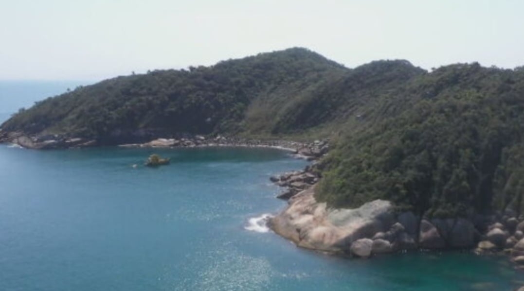 Mergulhadores têm atuado de forma persistente na Reserva  Biológica Marinha do Arvoredo, arquipélago formado por quatro ilhas entre Florianópolis e Bombinhas, no litoral norte de Santa Catarina Reprodução: Flipar
