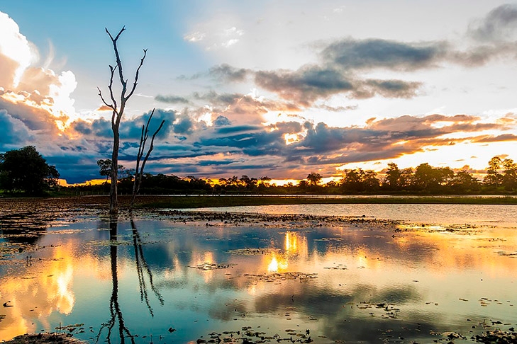  Em outro projeto, também no Centro-Oeste, uma parte do Mato Grosso e outra do Mato Grosso do Sul seriam desmembradas para a formação do estado do Pantanal. Reprodução: Flipar