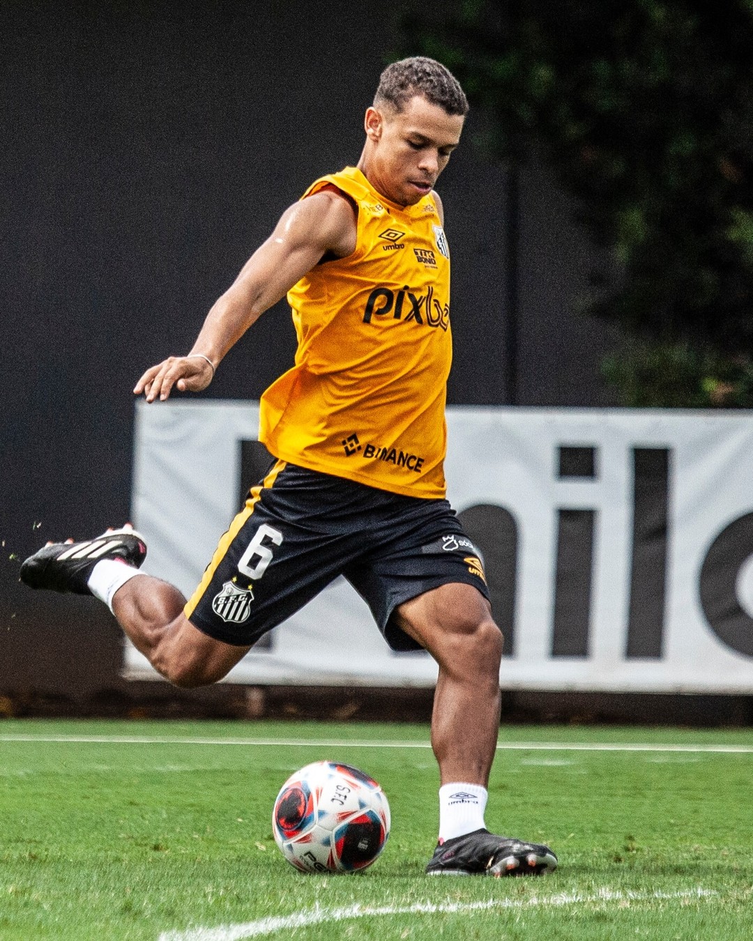 Foto: Bruno Santoni/Santos FC