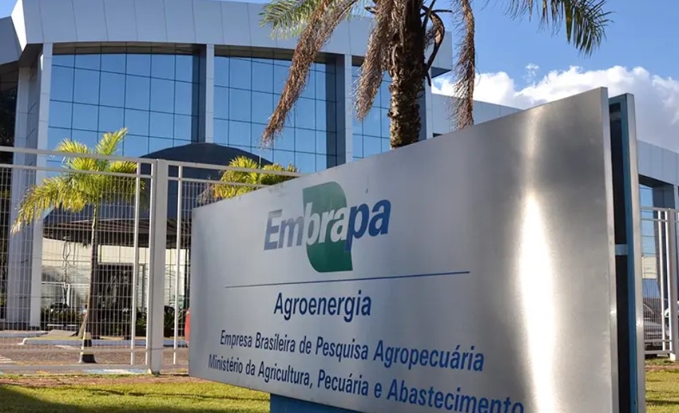 A Embrapa (Empresa Brasileira de Pesquisa Agropecuária) informou que fez um mapeamento de regiões do Brasil que correm risco de desenvolver novas pragas agrícolas. 
