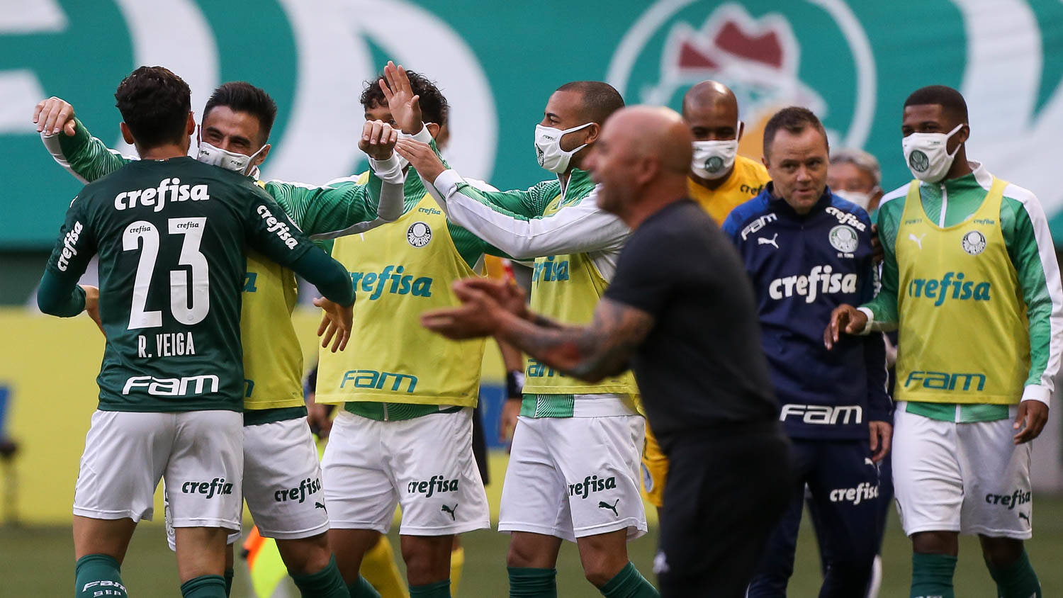 Palmeiras. Foto: Cesar Greco