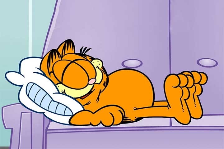 O gato Garfield é estrela de uma das tirinhas mais famosas da história, sendo publicado em 2570 jornais de todo o mundo (só perdendo para Peanuts).  Reprodução: Flipar