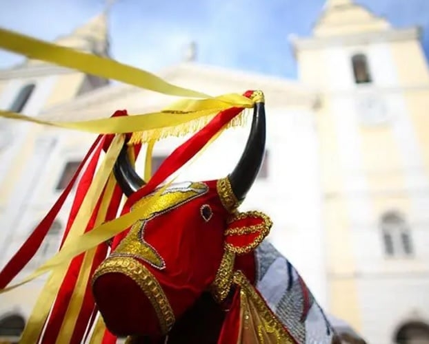 A cidade é palco de manifestações culturais como o Caboclinho, Carvalhada, Chegança, Bumba Meu Boi, Coco Alagoano, Festa de Reis e outras festas folclóricas que remontam às origens do povo nordestino. Reprodução: Flipar