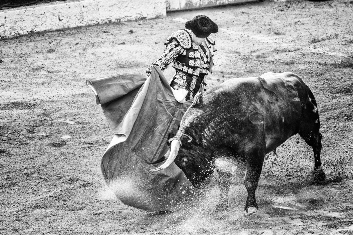 Na Espanha, as touradas também foram declaradas como Patrimônio Cultural e Imaterial, mas foram proibidas pelas autoridades locais primeiro nas Ilhas Canárias em 1991 e depois na região autônoma da Catalunha, em 2012.  Reprodução: Flipar