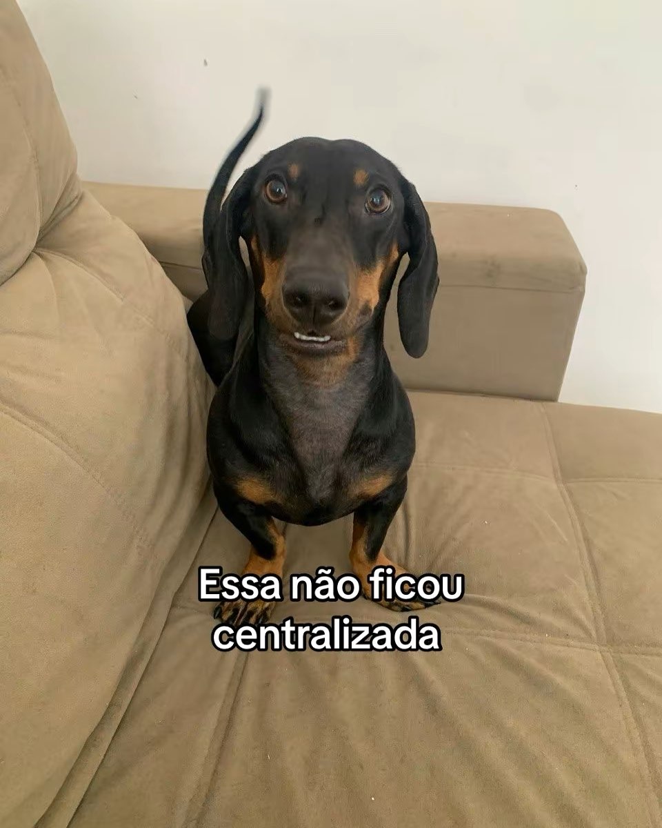 Torresmo é macho. Foto: Reprodução Instagram - @torresmo.jose