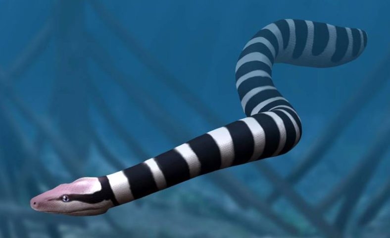 Palaeophis colossaeus – Habitou regiões costeiras da Europa e América do Norte entre cerca de 50 e 60 milhões de anos atrás. Foi uma das maiores cobras marinhas conhecidas, adaptada à vida em águas quentes. Reprodução: Flipar