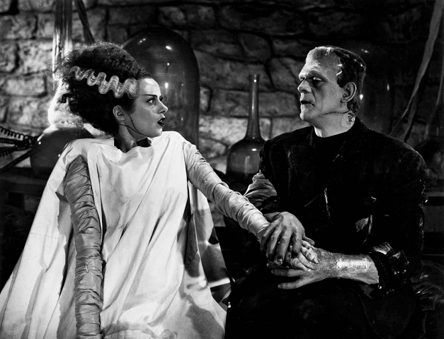 O filme é uma sequência de “Frankenstein” (1931), e conta a história do Dr. Henry Frankenstein, que é chantageado por outro cientista louco, o Dr. Pretorius, para criar uma companheira para a criatura.