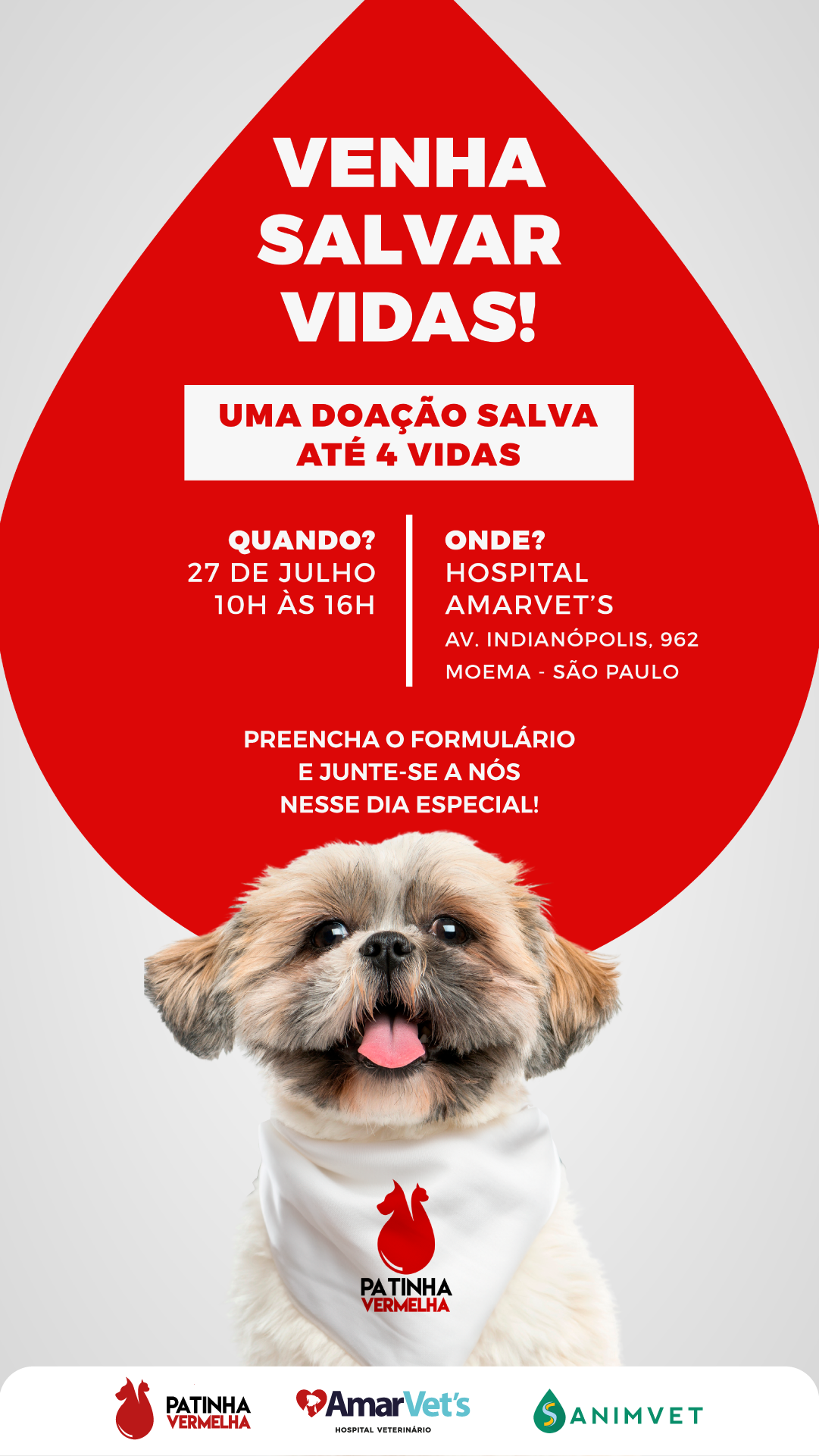 Animais de estimação também podems er doadores de sangue Divulgação