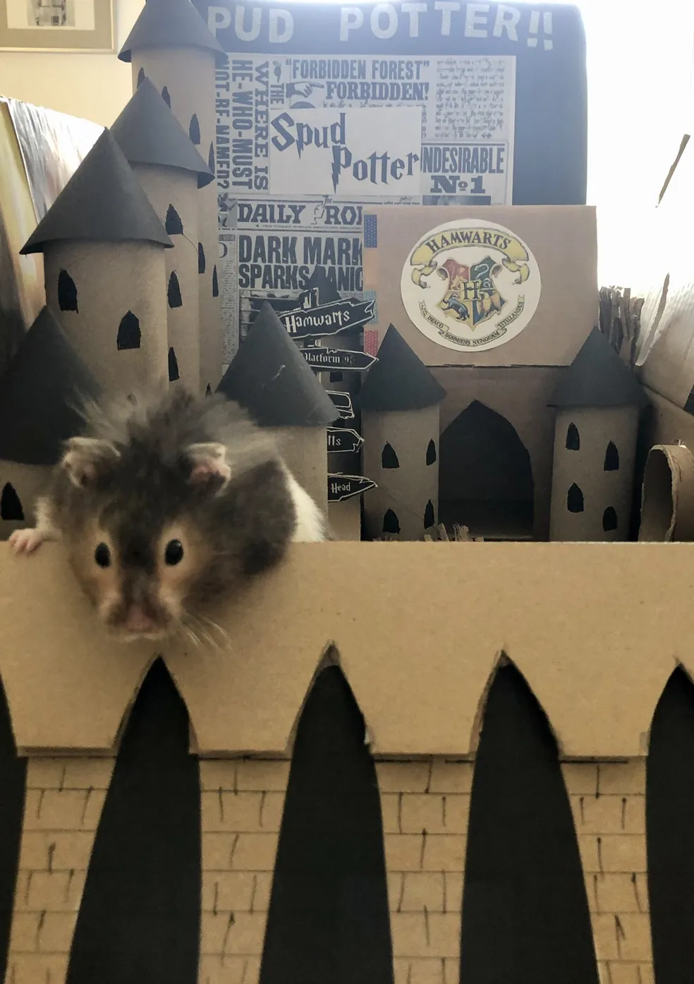 A tutora fazia maquetes inspiradas em lugares da Europa para que hamster pudesse "visitá-los". Foto: Reprodução/Facebook