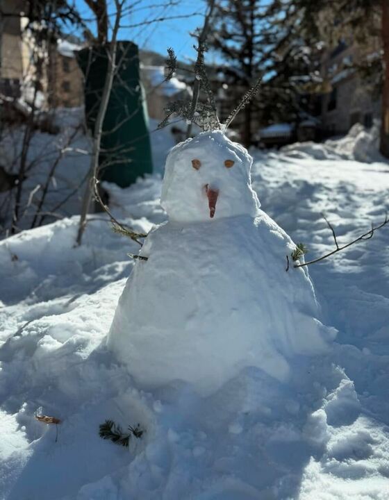 Boneco de neve feito pela família  Reprodução: Instagram