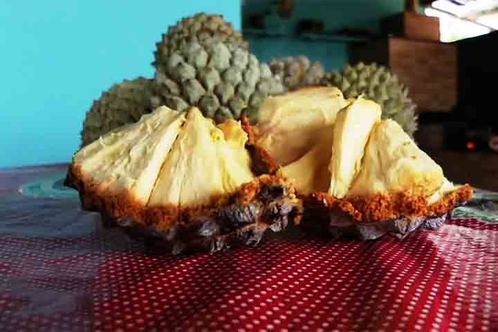 Estudos demonstraram que os extratos de diferentes partes do araticum (marolo) eram potentes antioxidantes, principalmente a polpa e a casca da fruta. Reprodução: Flipar