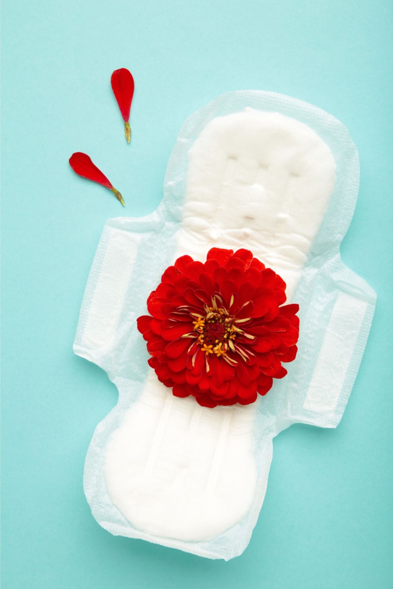 3. Não é recomendado estar menstruada no dia da coleta? Verdade. De acordo com a especialista, o exame pode ser coletado em qualquer fase do ciclo menstrual, exceto durante a menstruação. “Nada impede que a paciente seja examinada menstruada, mas a coleta precisa ser realizada em outro dia, já que a presença de sangue pode atrapalhar a análise do exame”, explica. Reprodução: EdiCase