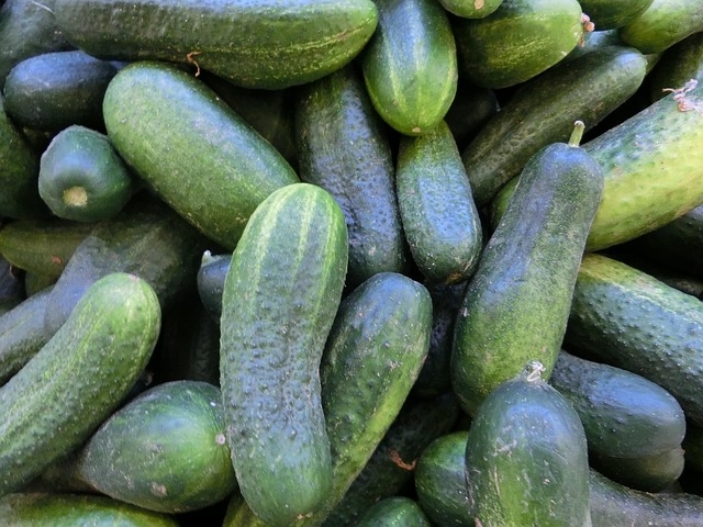 Outro benefício significativo do pepino está relacionado à hidratação do organismo. Com 95% de água, é uma excelente fonte de líquidos, especialmente importante para quem pratica atividades físicas. Reprodução: Flipar