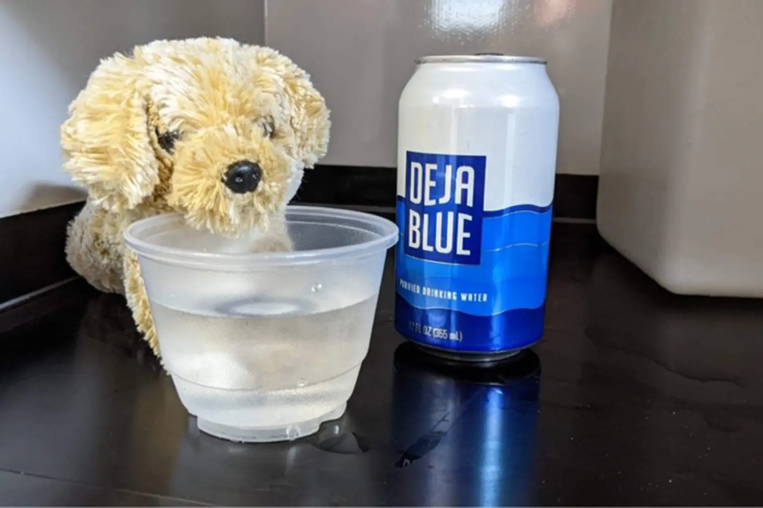 O vídeo com o cachorrinho de pelúcia rendeu várias criticas de consumidores insatisfeitos com os serviços. Foto: Reprodução/Southwest Airlines