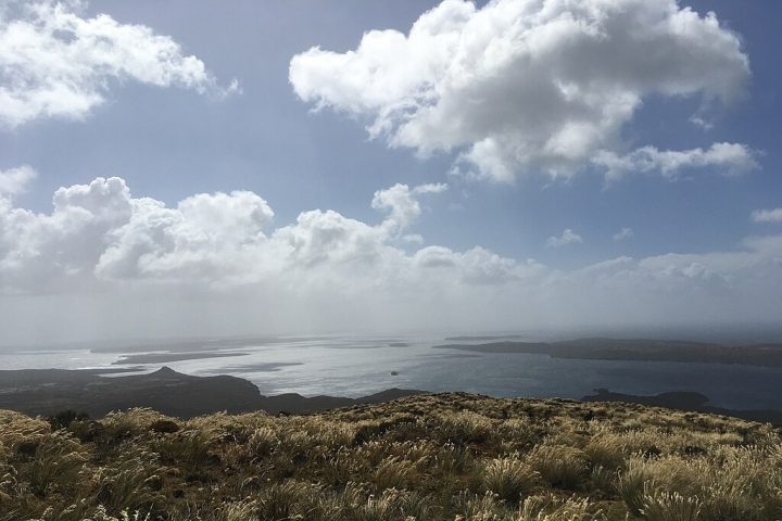 A Nova Zelândia e a Nova Caledônia são as principais terras emersas da Zelândia, mas outras pequenas ilhas, como as Ilhas Auckland e as Ilhas Chatham, também fazem parte dela. Reprodução: Flipar