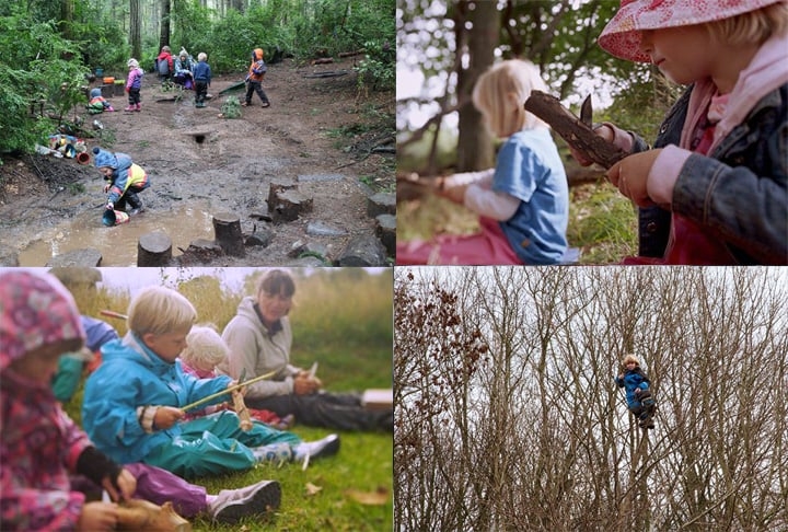 Em alguns dias da semana, as crianças têm aula na floresta. Nesses dias, elas aprendem a subir em árvores, cortar madeira e a desenvolver o contato com a natureza. Reprodução: Flipar