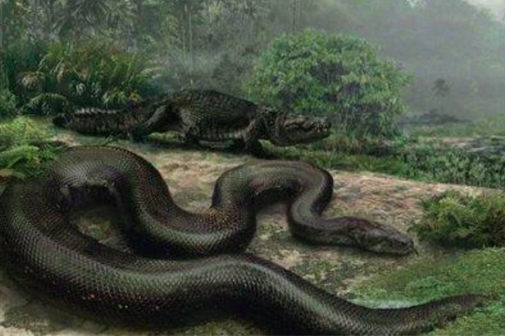 Em um passado distante, cobras de proporções colossais dominaram uma ampla variedade de habitats, desde densas florestas tropicais até até a vastidão dos oceanos. Reprodução: Flipar