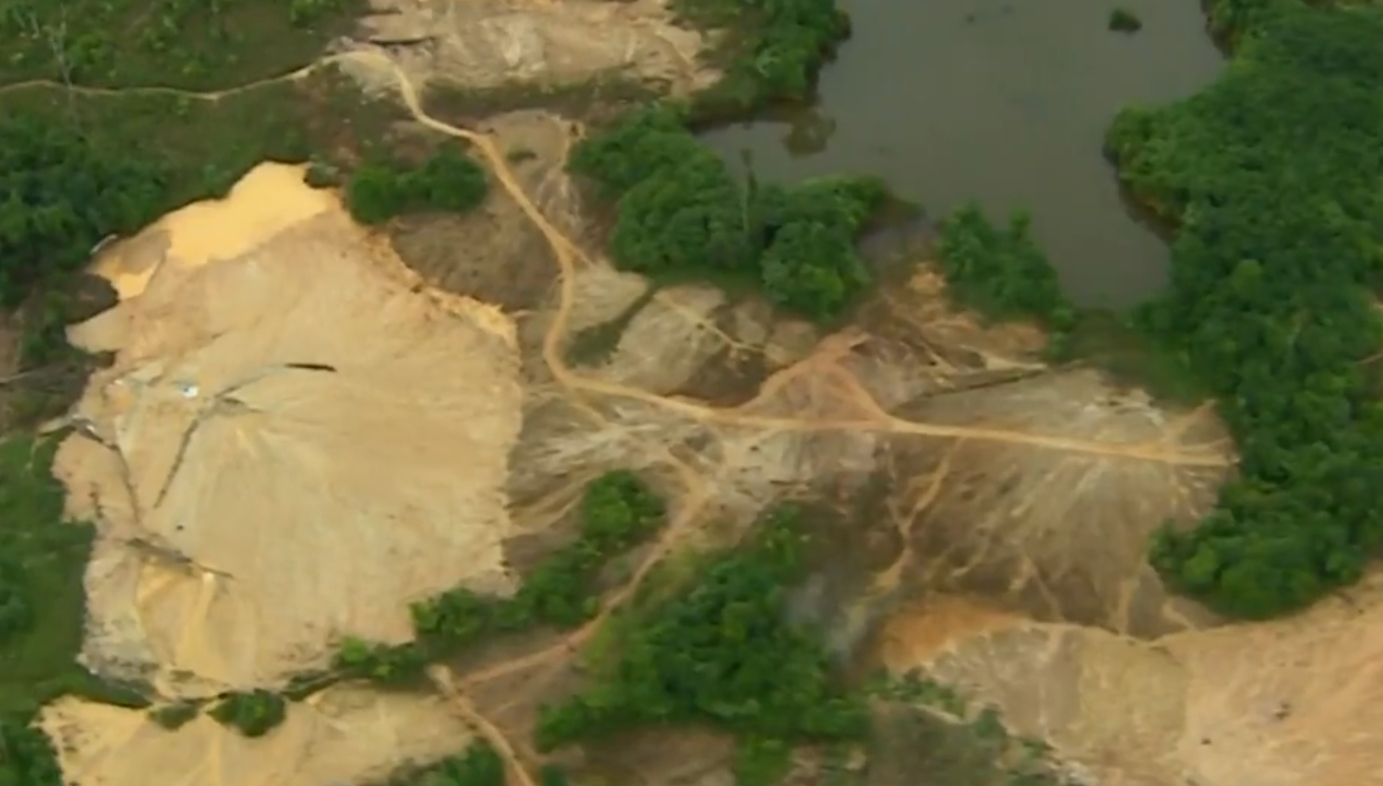 Imagens aéreas têm mostrado áreas gigantescas que foram devastadas pelos criminosos. 