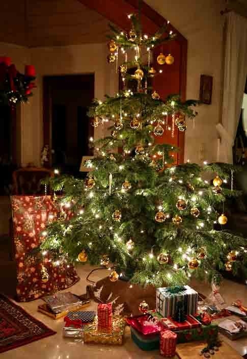 Pesquisadores na Estação do Polo Sul Amundsen-Scott dos Estados Unidos montaram uma árvore de Natal de sucata, decorada com ornamentos personalizados. A tradição se perpetuou por um breve período com o acréscimo de novos adornos por metalúrgicos a cada ano. Reprodução: Flipar