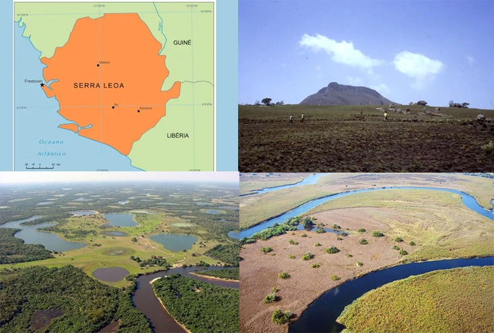 O hipopótamo-pigmeu é nativo das florestas e pântanos da África Ocidental. É encontrado na Serra Leoa, Guiné, Costa do Marfim, Libéria e Nigéria. Reprodução: Flipar