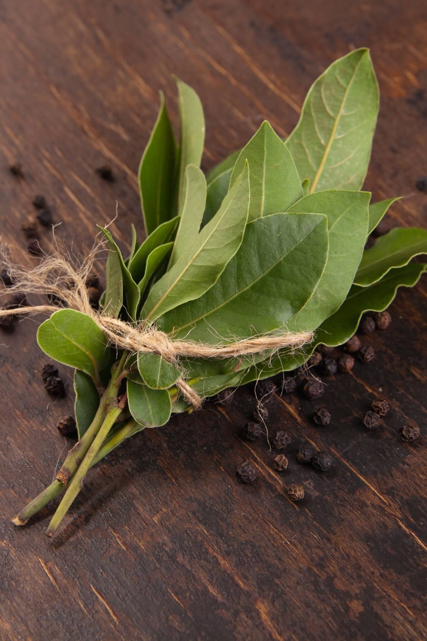 1. Simpatia para ganhar dinheiro Compre um cadeado dourado pequeno e, em um dia de Lua Nova, logo pela manhã, deixe-o sobre uma folha de louro até o período da noite. No fim do seu banho, passe o cadeado por suas mãos e pés e diga: “Lua, aqui está a armadura da minha riqueza, somente eu posso destruí-la ou abri-la para que mais riquezas entrem”. Enxugue os pés e as mãos com uma toalha amarela. Coloque o cadeado em um lugar em que ninguém veja e o deixe lá pelo tempo que desejar. Jogue a folha de louro no lixo e use a toalha normalmente. Reprodução: EdiCase