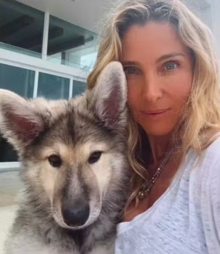 Nos comentários, seguidores questionaram a opção de comprar o animal de criadouro em vez de adotar. “Onde ele foi adotado? Você definitivamente não teria comprado de um criadouro!”, escreveu um perfil, demonstrando indignação. “Adotar é a coisa certa a se fazer. Sempre adotem!”, comentou outro.
 Reprodução: Flipar
