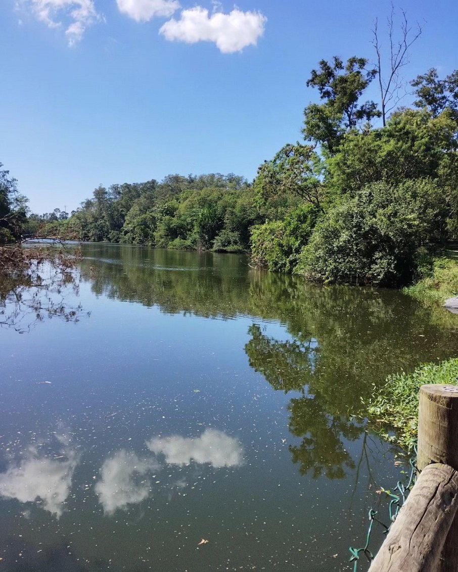 Lago no Parque Botânico da Vale, em Vitória, no Espírito Santo. Foto: Reprodução/Instagram 23.06.2023
