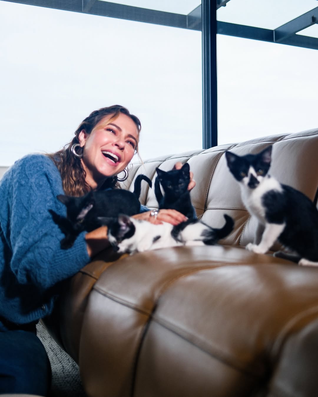 Paolla Oliveira se diverte com felinos no sofá. Foto: Reprodução Instagram @paollaoliveirareal - 27.5.2025