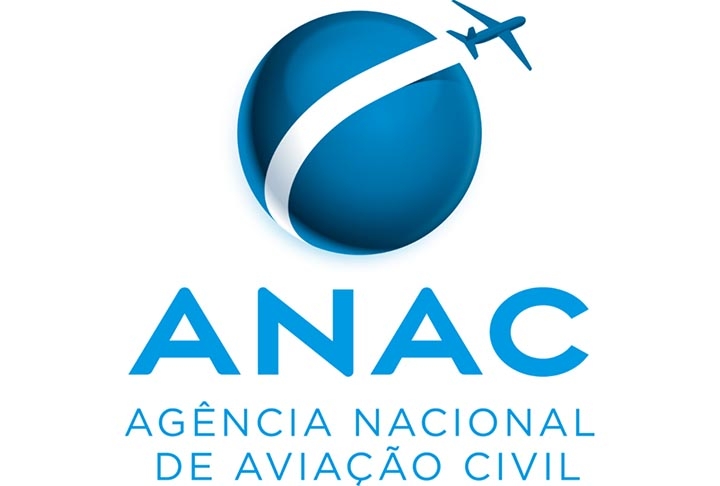 Segundo as regras da Agência Nacional de Aviação Civil (ANAC), a bagagem pode ficar extraviada por até 7 dias em voos nacionais e 21 dias em voos internacionais. Reprodução: Flipar