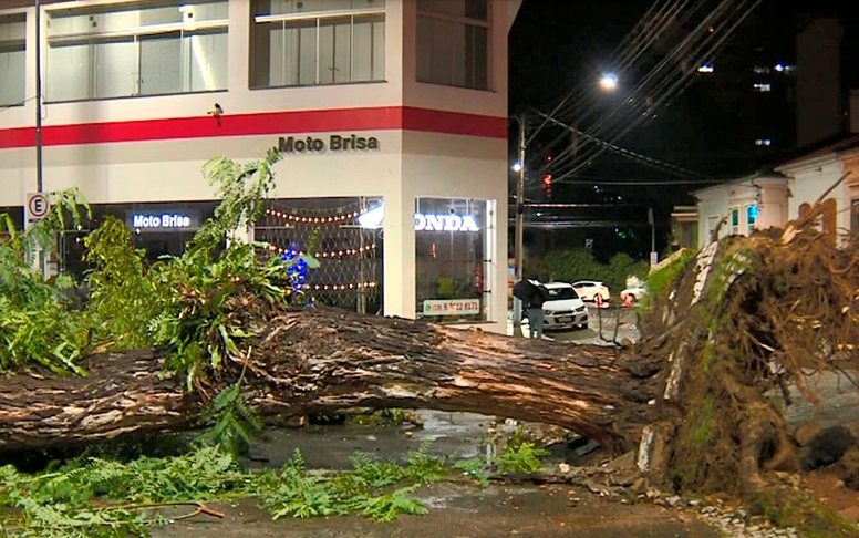 Ainda em 2021, uma mulher ficou ferida quando uma árvore caiu durante um temporal em Amparo (SP). A árvore tombou sobre cinco carros que estavam estacionados, vazios, mas também atingiu a pedestre.