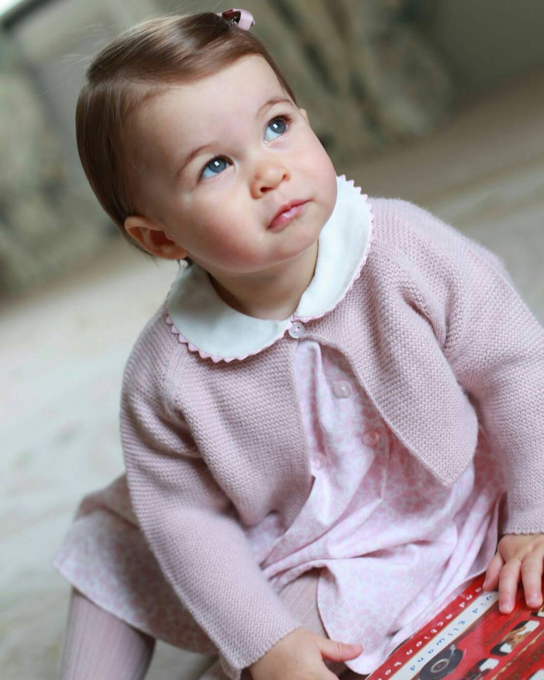 Evolução da Princesa Charlotte. Foto: Reprodução/Instagram/@kensingtonroyal