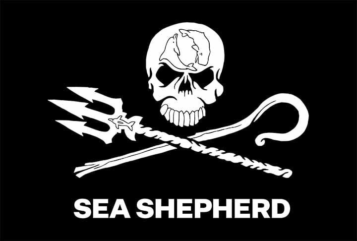 A Sea Shepherd Brasil, ONG de defesa do oceano e da vida aquática, documentou a morte de 32 mamíferos aquáticos este ano em Coari, município do interior do Amazonas.
 Reprodução: Flipar